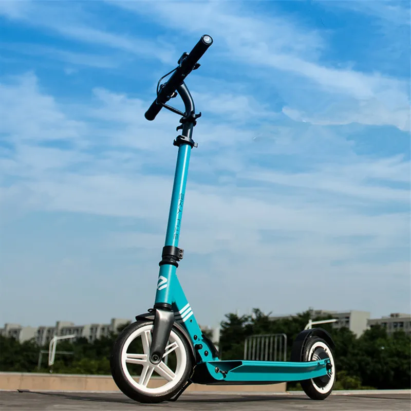  8 Inch Kick Scooter Electric Two Wheel Electric Scooters 48V 250W Foldable Electric Scooter Adults 