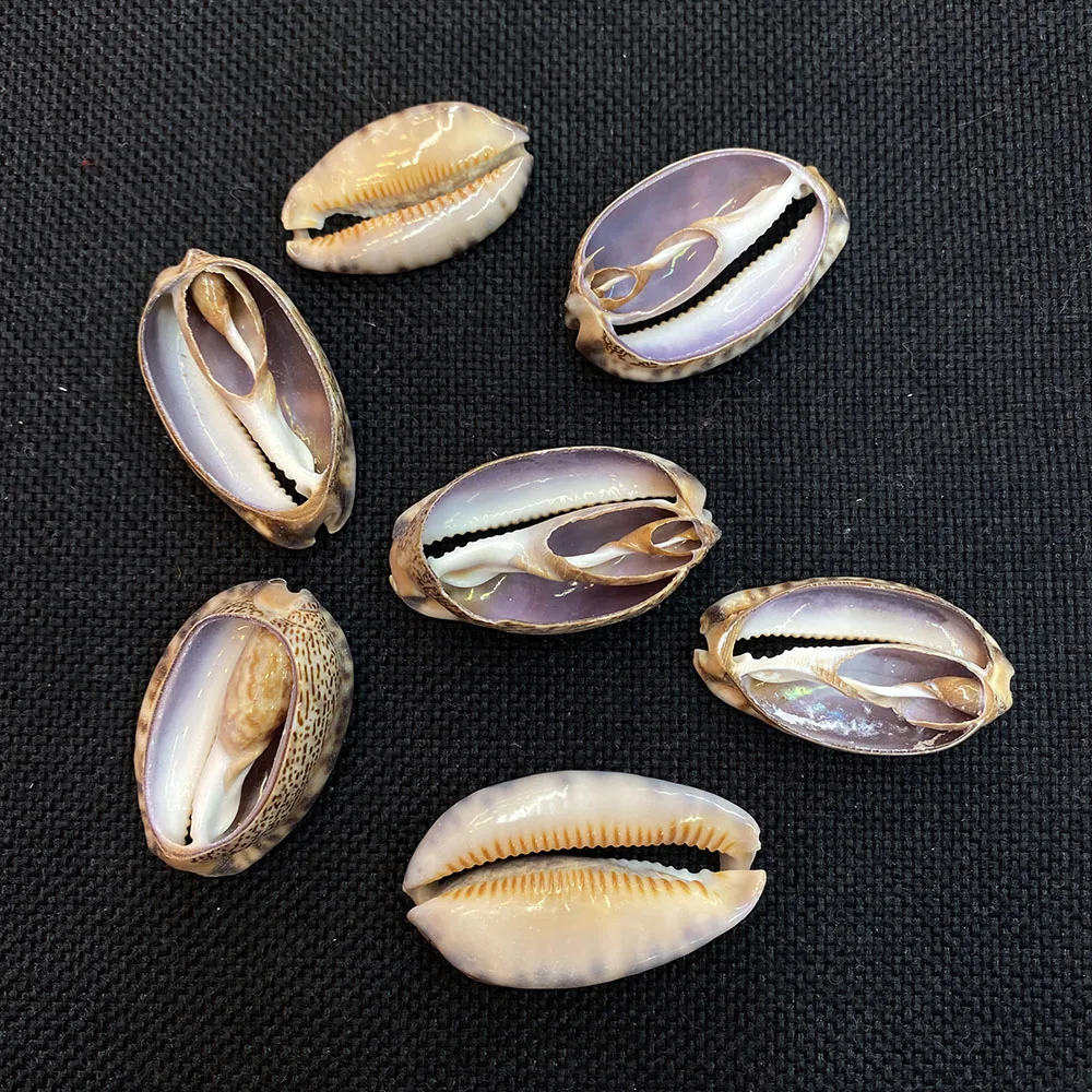 

5pcs/bag Natural Sliced Shell Beads for Jewelry Making Necklace Bracelets Sliced Shell Beads Jewelry Accessories Wholesale