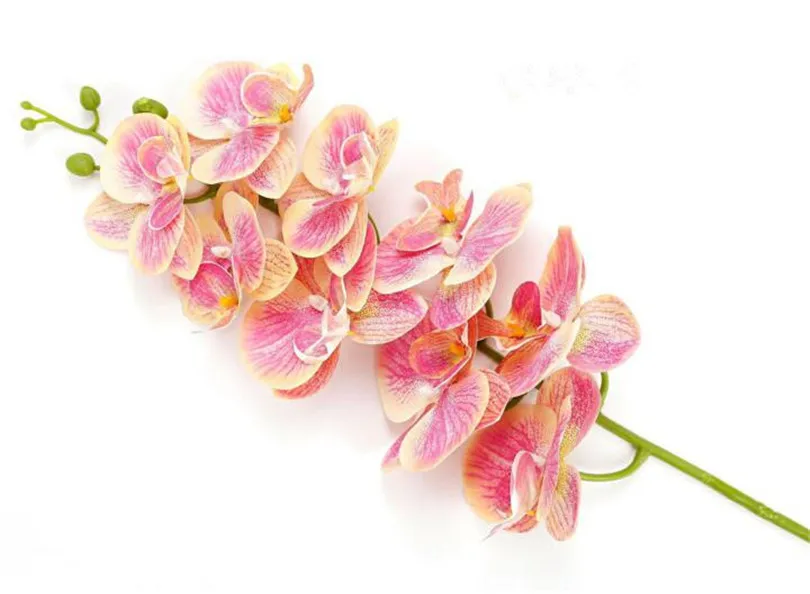 Один Искусственный Мотылек Орхидеи цветы Настоящее прикосновение латекс высокое качество Бабочка орхидеи стволовых растений центральный Силиконовые Цветы - Цвет: Светло-розовый