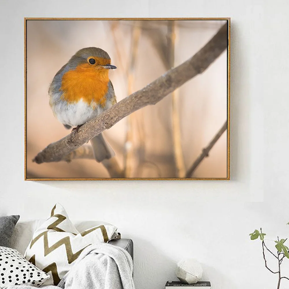 bhdre.jpg_.webp bhdre.jpg_.webp