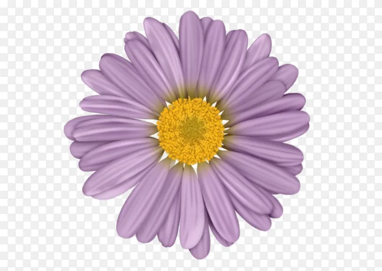 插画艺术 一朵花png图片素材免费下载 图片编号1720198 Png素材网