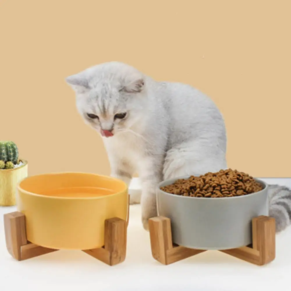 Pet Ceramic Elevated Raised Cat Bowl With Wood Stand No Spill Pet Food Water Feeder Cats Small