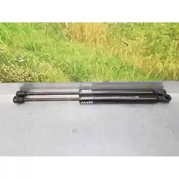 

9678317180 SHOCK ABSORBERS TRUNK PORTON PEUGEOT 2008 (--.2013->)