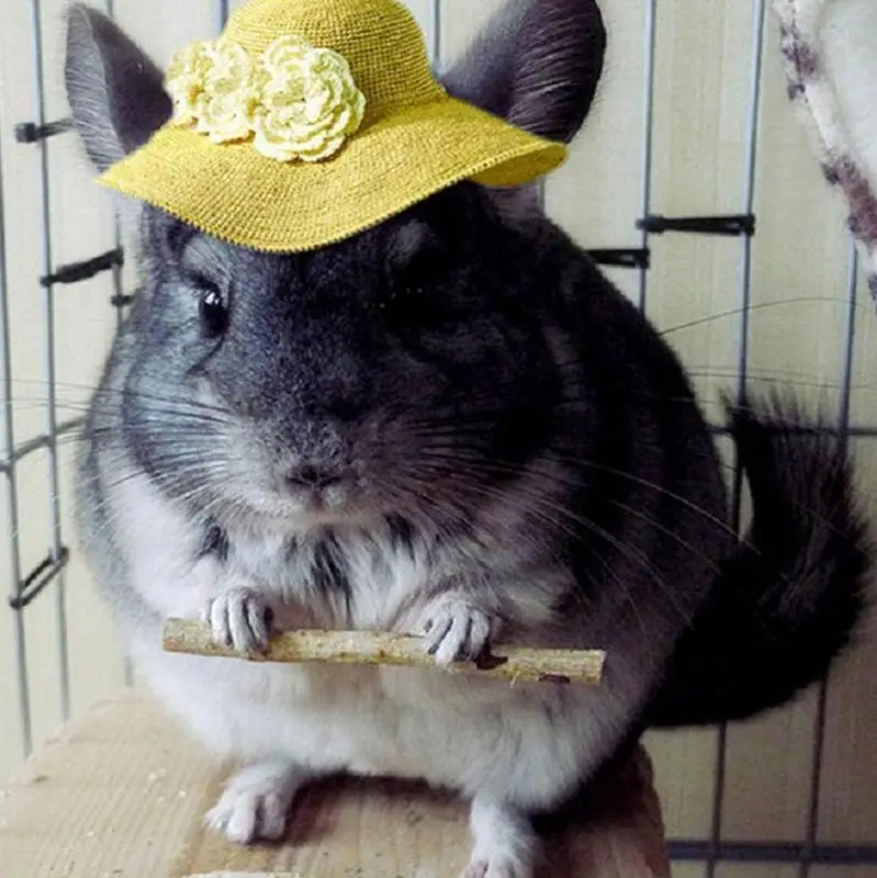 HTB1iIFUTyrpK1RjSZFhq6xSdXXag