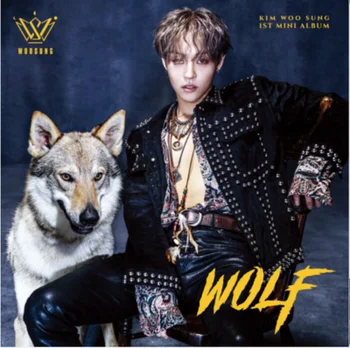 

[MYKPOP]~100% OFFICIAL ORIGINAL~ The Rose - Sammy (Kim Woo Sung): MINI#1 WOLF CD, KPOP Fans Collection - SA19082601