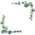 Image 14