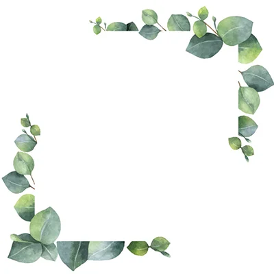 Image 14