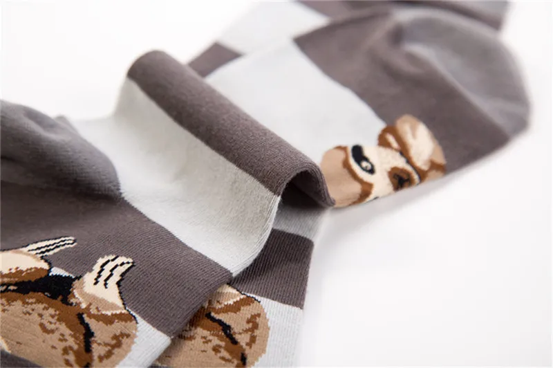 9257330734_369989267