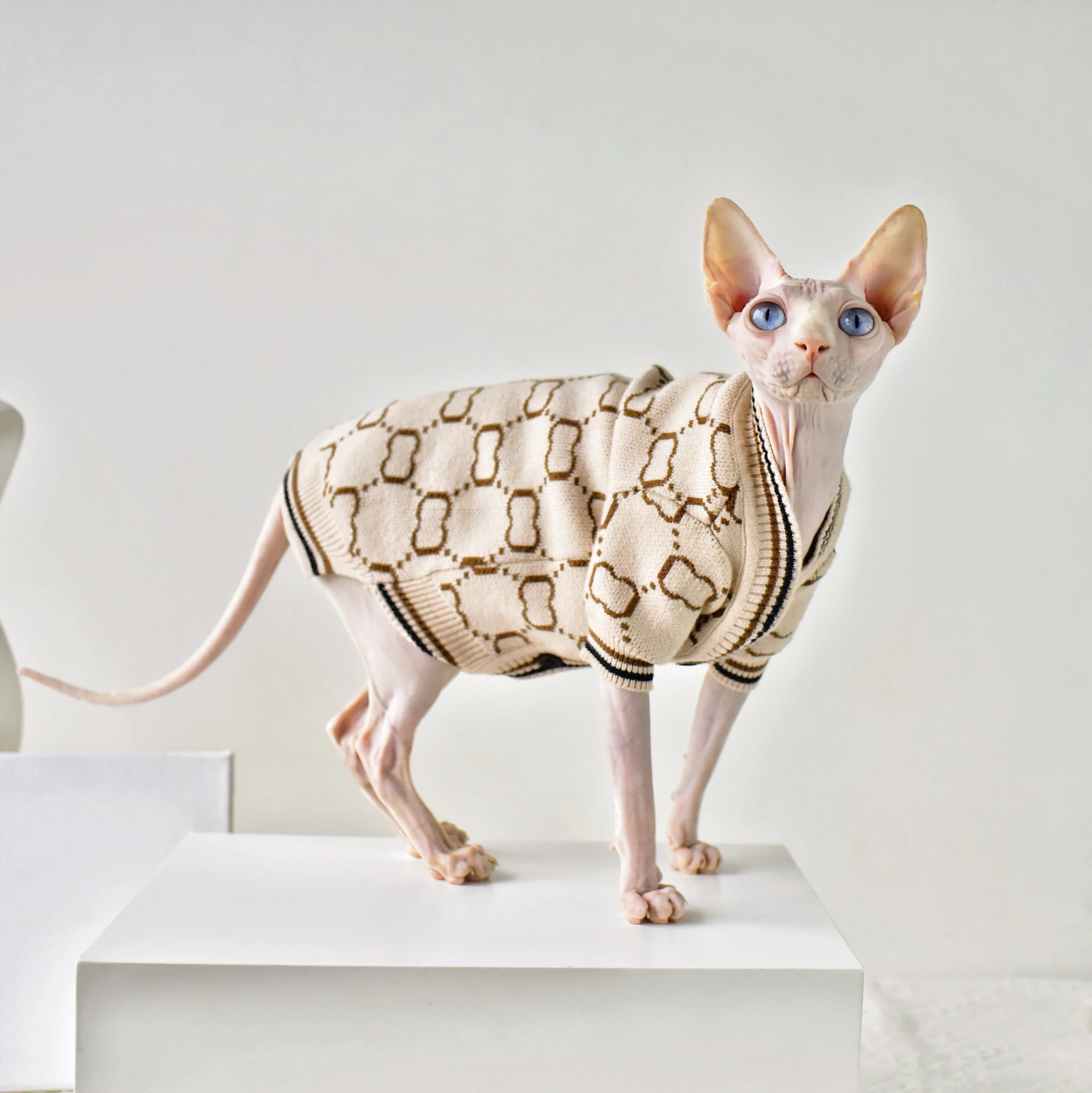 Designer Cat Sweater | LV Sweater for Sphynx, Designer Sweater