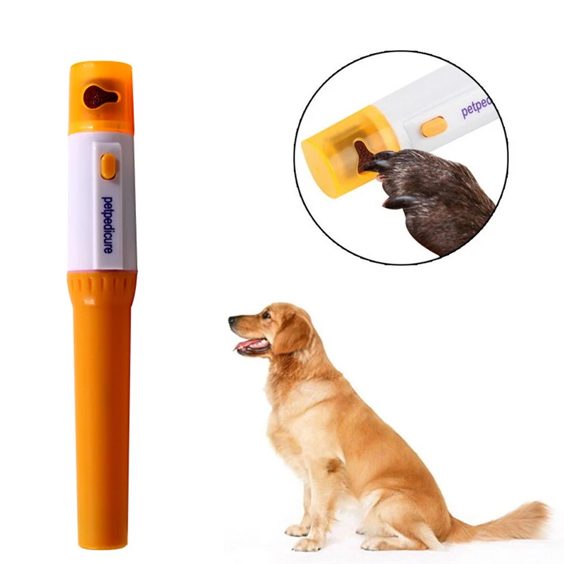 fish for shrimp tank