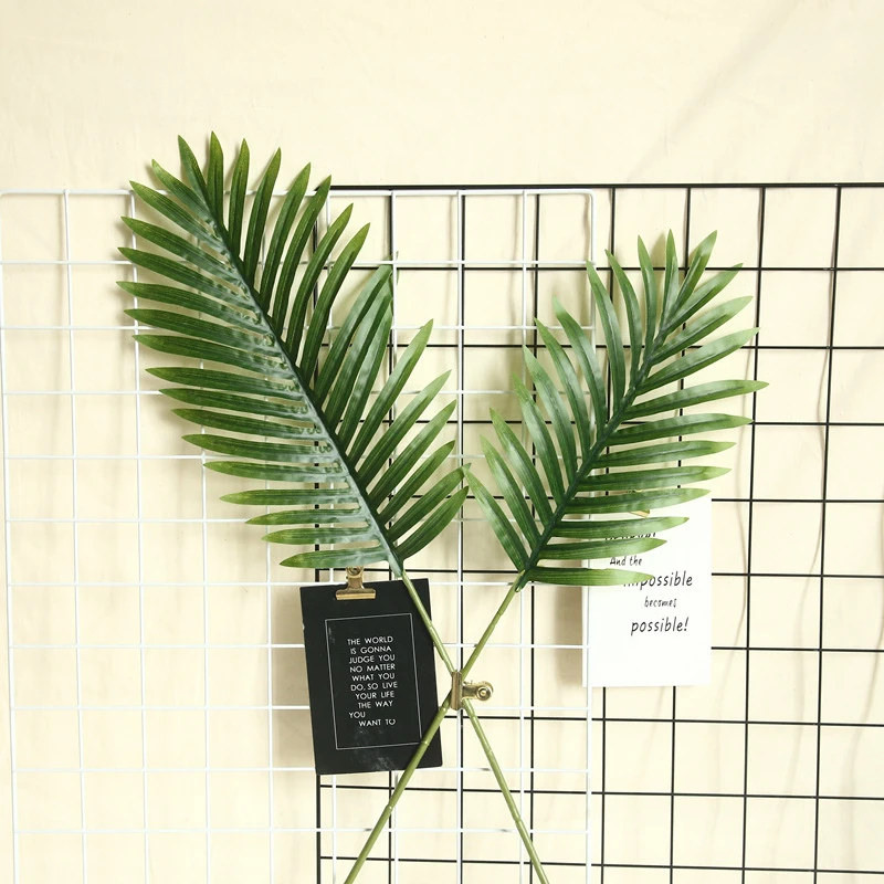 11185172938_1245478559