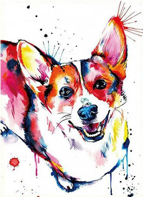 HTB1h78HRwTqK1RjSZPhq6xfOFXaK