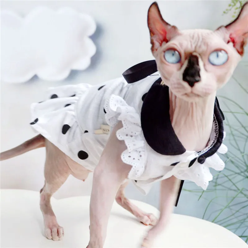 Sphynx Cat Light luxury Chic! Princess skirt high end design hairless
