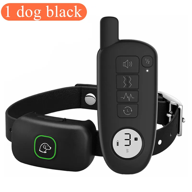 1 dog black