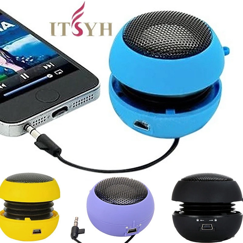 wired portable speaker