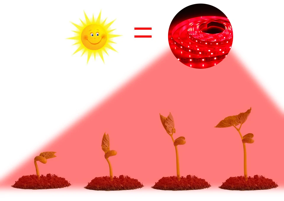 FOXGBF LED growth strip light 2835 chip DC 5V USB LED Strip Light 0.5M 1M 1.5M 2M 2.5M 3M Red light for Greenhouse Grow Tent (6)