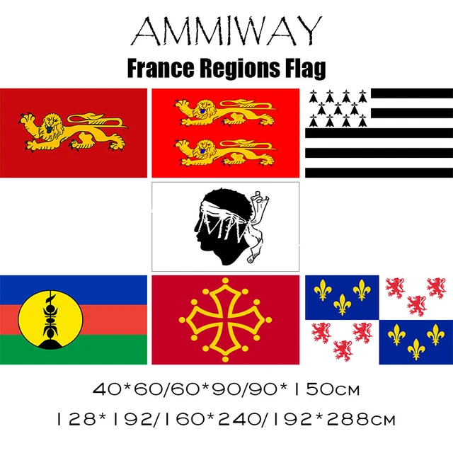 Ammiway France Generic Nord Pas De Calais Haute Normandie Bourgogne  Champagne Ardenne Languedoc Roussillon French Flags Banners - Flags -  AliExpress