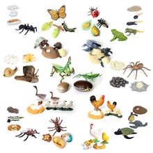 Simulação borboleta mantis abelha sapo ciclo de crescimento ciclo de vida animais modelo figuras de ação conjunto ensino brinquedos educativos para crianças