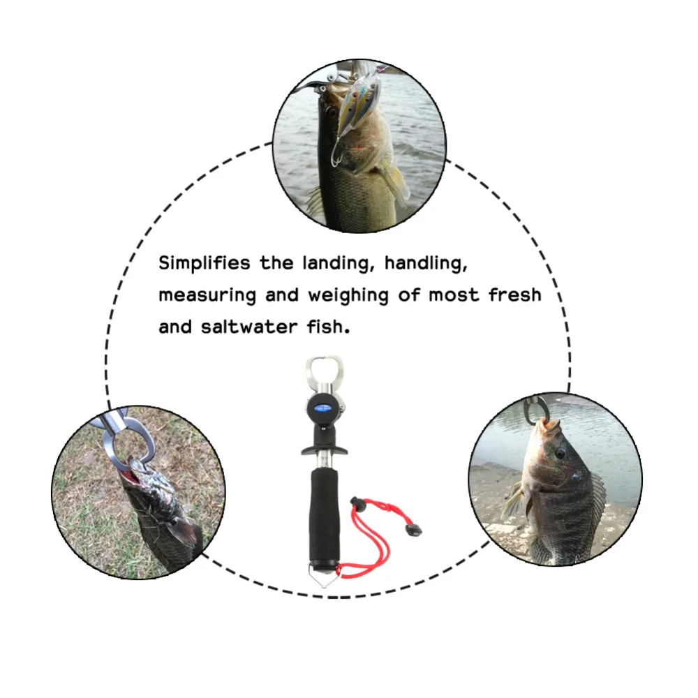 83395f511b7b67af93a5a06c85683db5