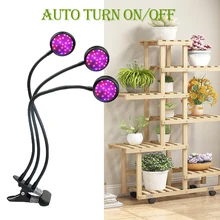 Домашний Уход за растениями светодиодный светильник для выращивания растений с таймером Фито лампа для полки для растений лампа полный спектр комнатный суккулентный садовый Саженец