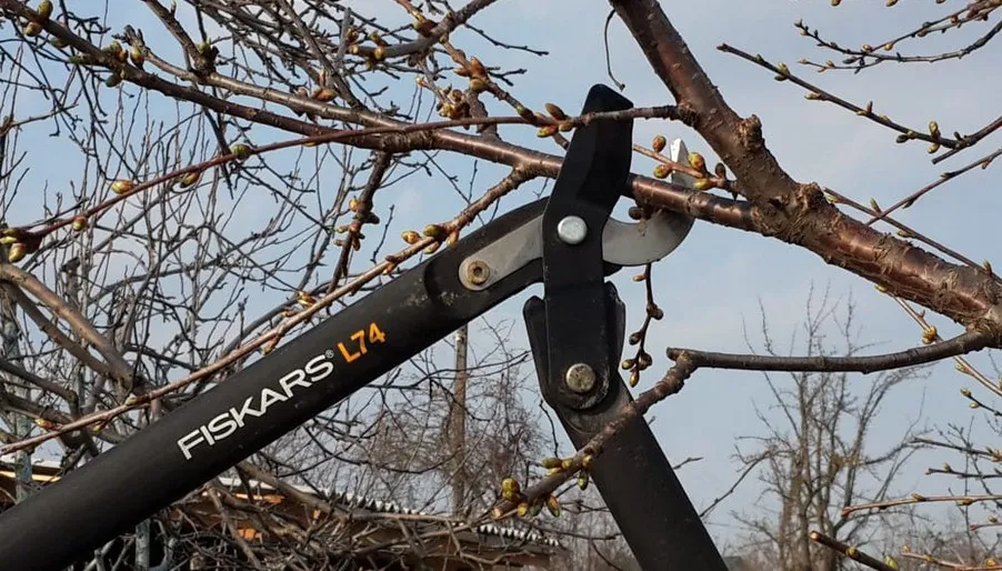 Сучкорез Fiskars с силовым приводом(средний) L74(112290) 1000582
