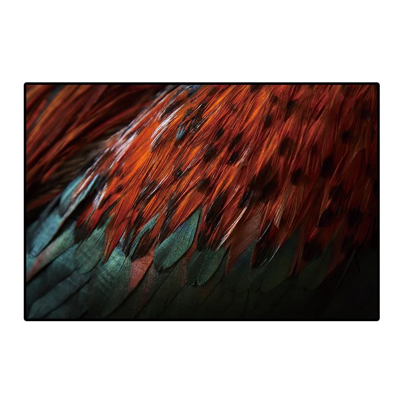 baidi__0000s_0014_dz26 (7)