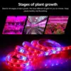 DC12V Full Spectrum Led Grow Strip Light Red +Blue Growing Lamp Waterproof IP65/IP20 For Hydroponics Flowers Plants Vegetables ► Photo 3/6
