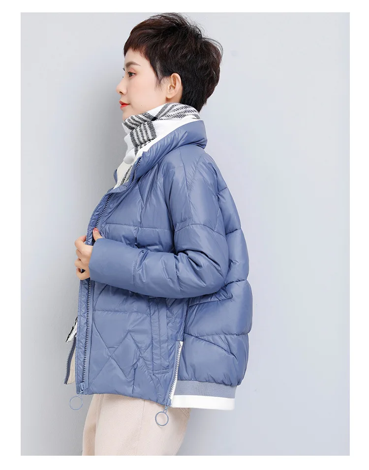 Off Season Short-height Short down Jacket WOMEN'S Dress Stand Collar New Style Fashion Casual Thick Loose-Fit Coat