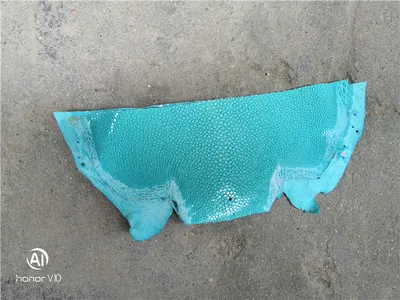 Красочные подлинные ската натуральный manmanta Ray рыбьей кожи штук для DIY кожа ремесленные часы ремень нож ручка материал 1,5 мм - Color: Light Blue