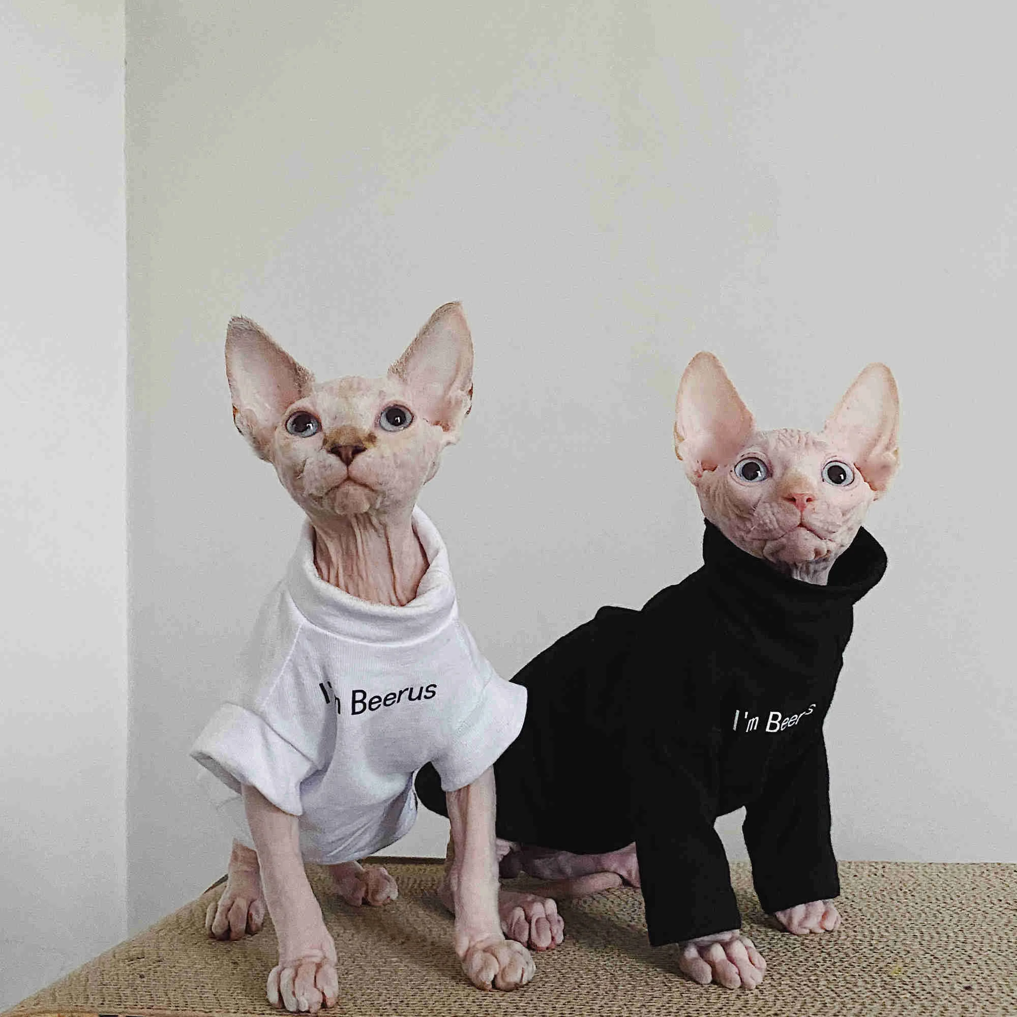 de casal para gatos, preto e branco, camisa família, verão