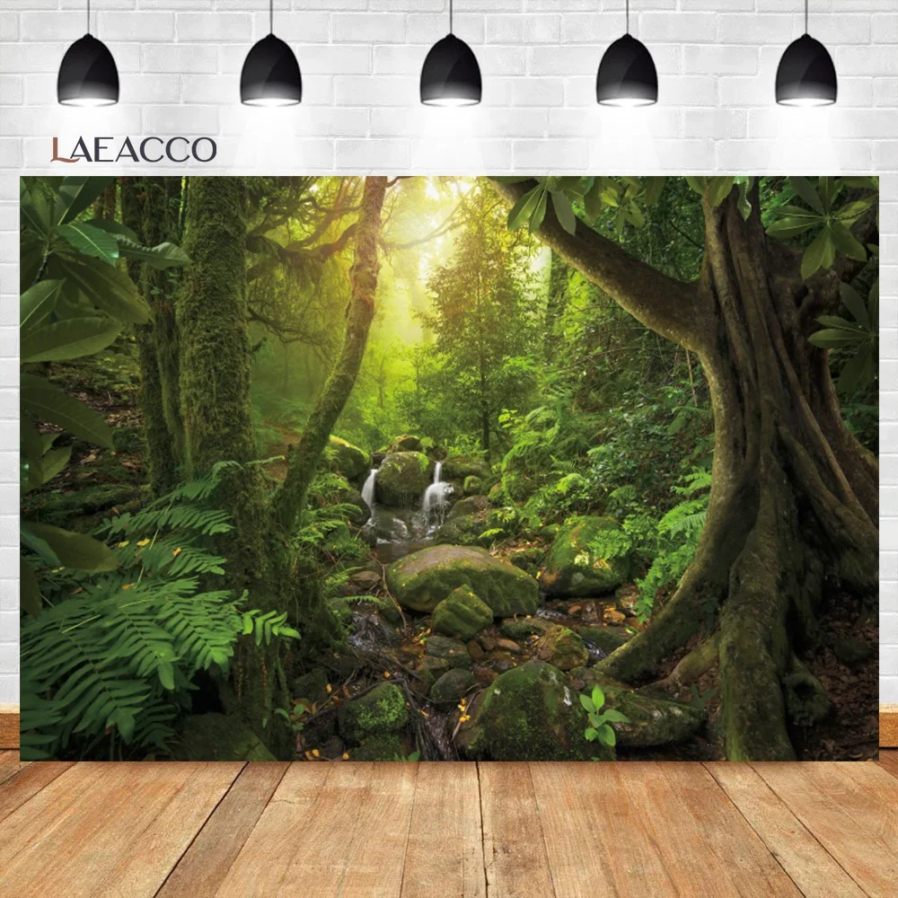 Laeacco    Ĺ  Ĺ ڿ ǳ      ʻȭ  