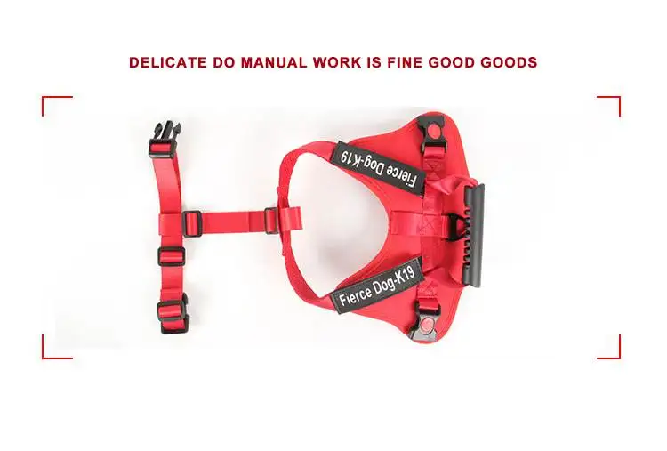 14376141031_1937179884