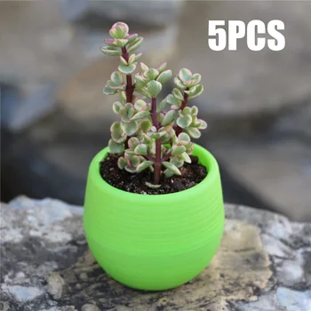 

Planter Flower pots Office Decor Excluding Flowers Round Succulent Pot