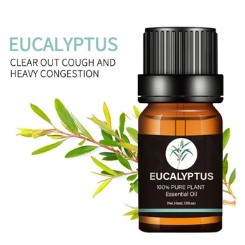 

6Pcs/set 100% Pure Natural Aromatherapy Oils Kit 10ml For Humidifier Water-soluble Fragrance Oil Massage Essential Oil Set