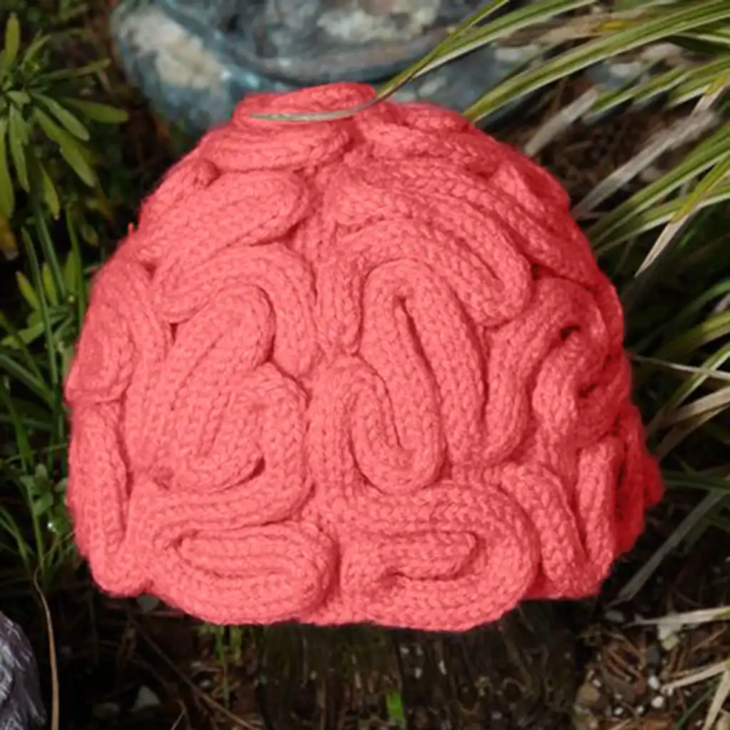 crochet brain hat