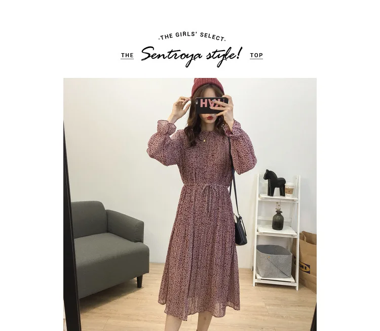 Loose-Fit Stand Collar Floral-Print Chiffon Long-sleeved Dress Autumn And Winter Women's Large Size Slimming Medium-length A- li