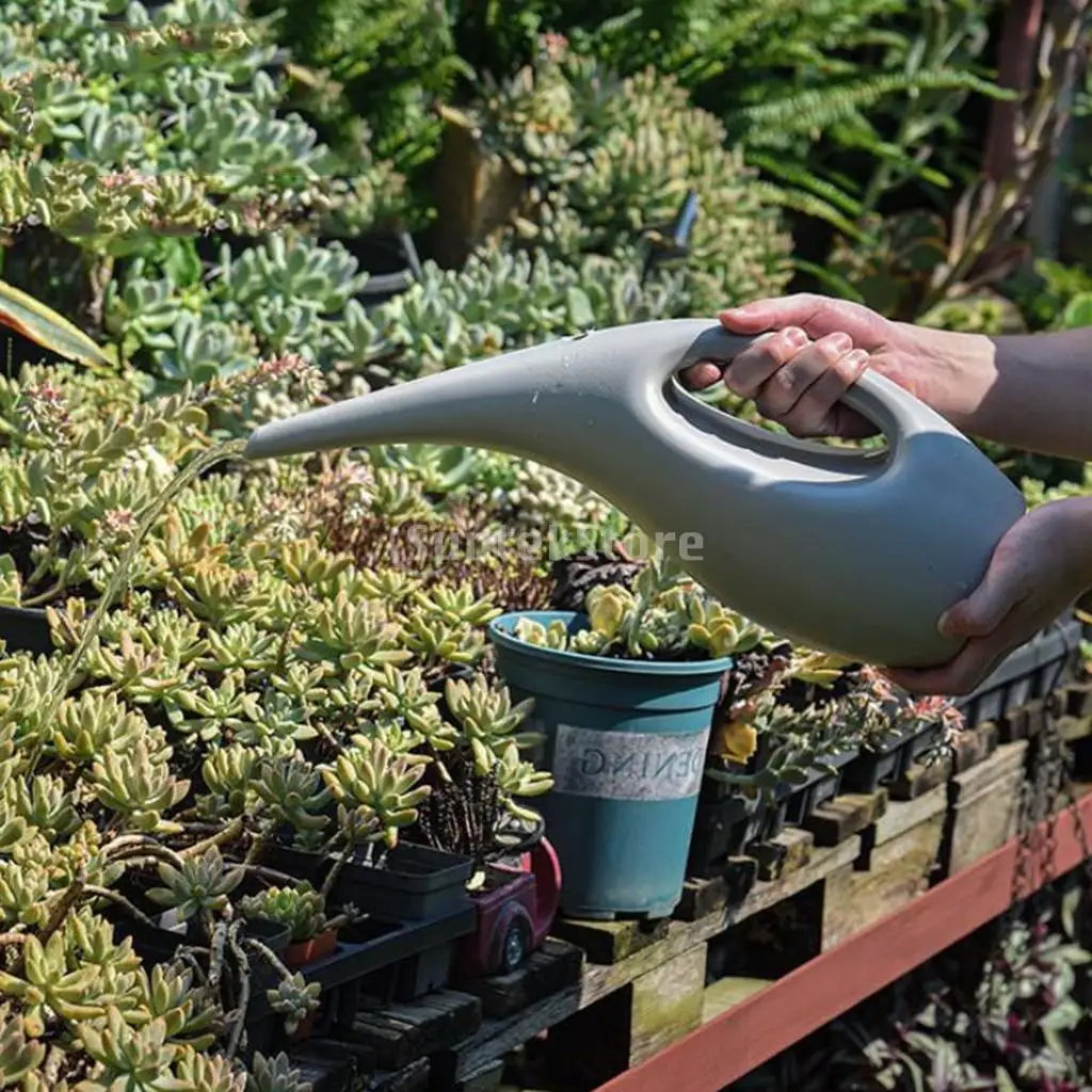 Annaffiatoio in Plastica Colorato con Manico e Nebulizzatore da Giardino