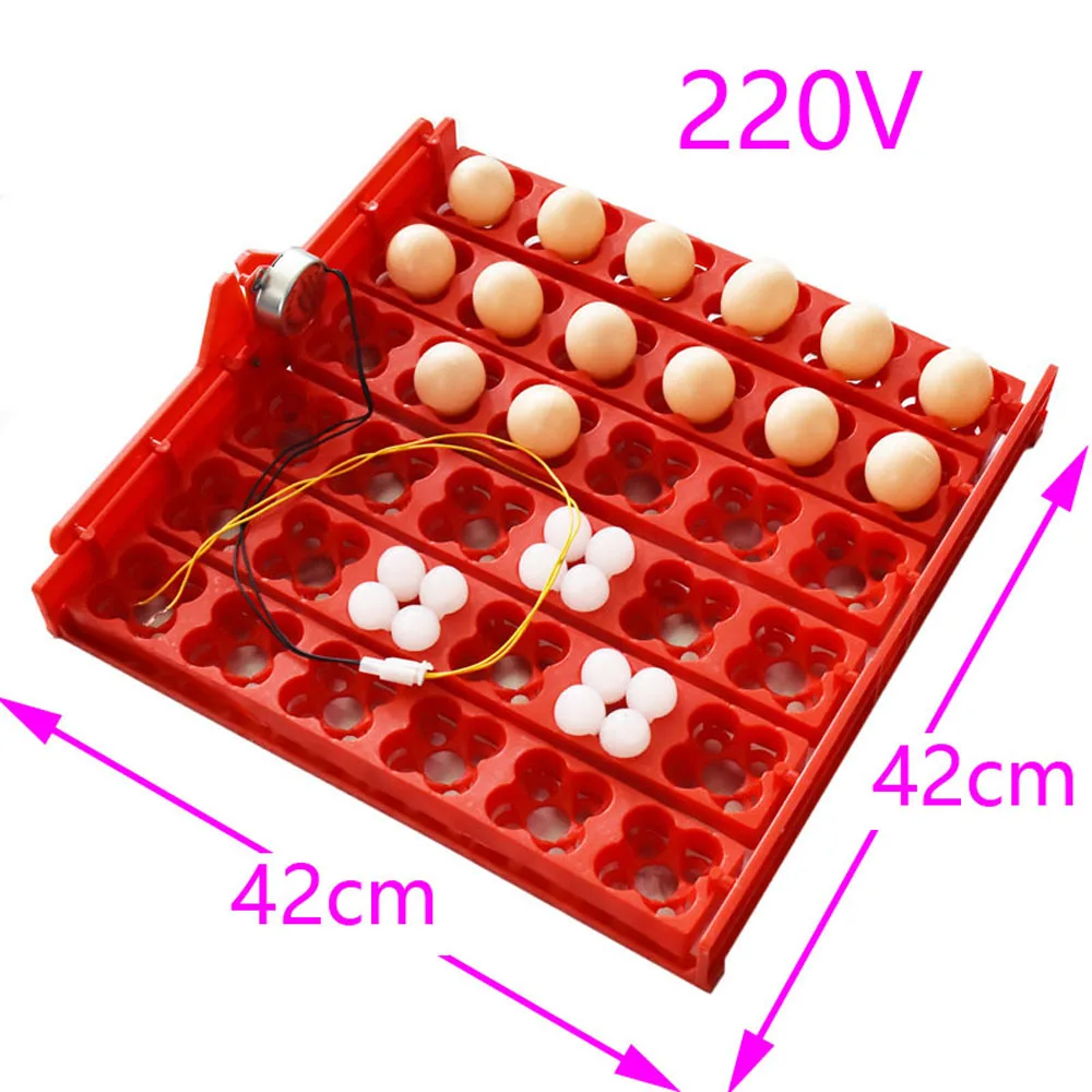 220V