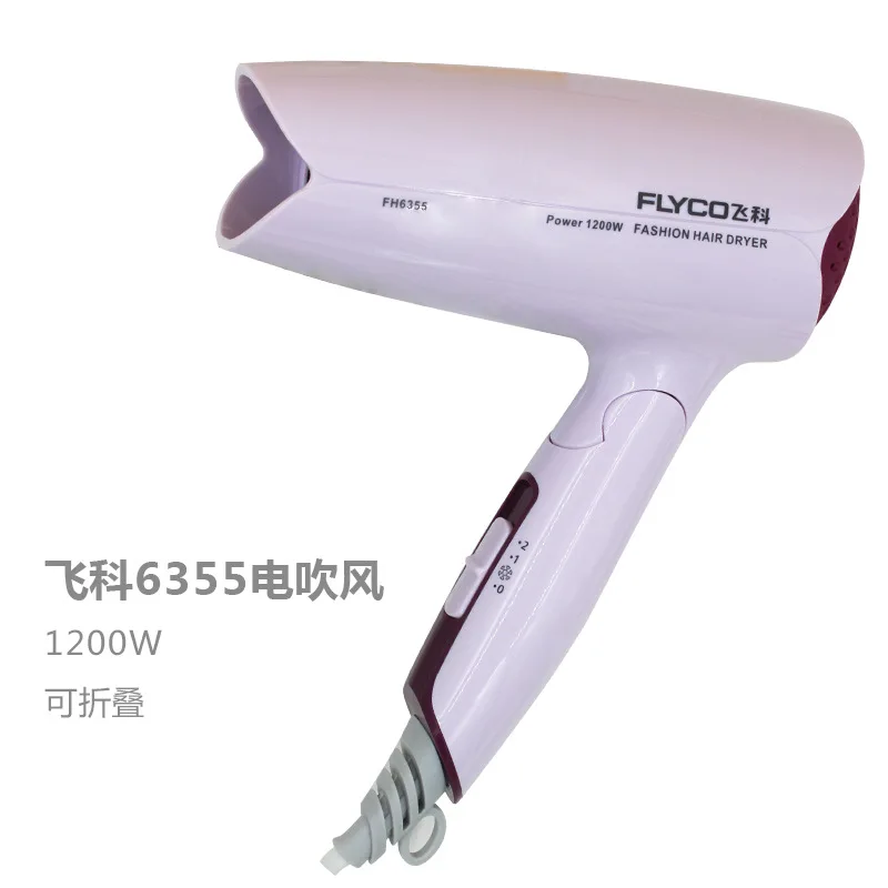 Flyco/Flying Branch Electric Hair Dryer/FH6355 Hair Dryer