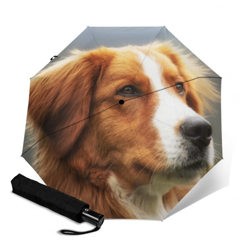 Складной полностью автоматический зонт для женщин, для путешествий, анти-УФ, ветрозащитный, дождевик, собака, модификация, женский, мужской, солнцезащитный зонтик, уличные зонты - Цвет: YSA1035