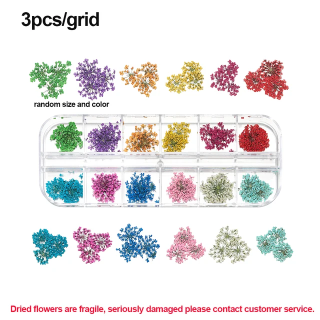 1Box Dried Flowers Dry Plants for Rsein Molds Fillings Epoxy Resin Pendant Tweezers Jewelry Making Craft DIY Nail Art Decoration Style18