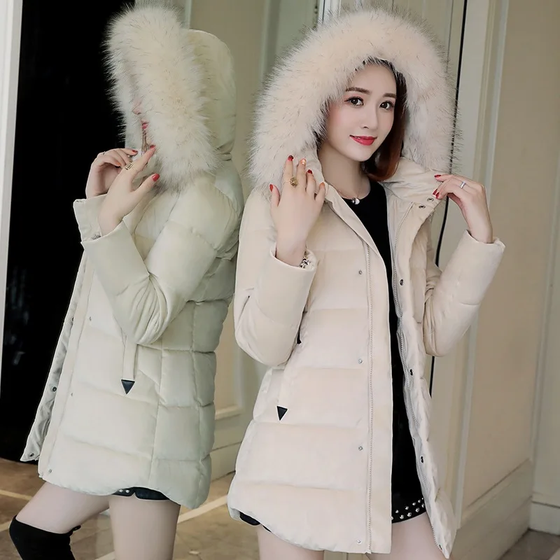 

Gold Velvet Cotton-padded Clothes Women's Mid-length 2019 New Style Korean-style Slim Fit Students Cotton Coat Winter Thick Cott