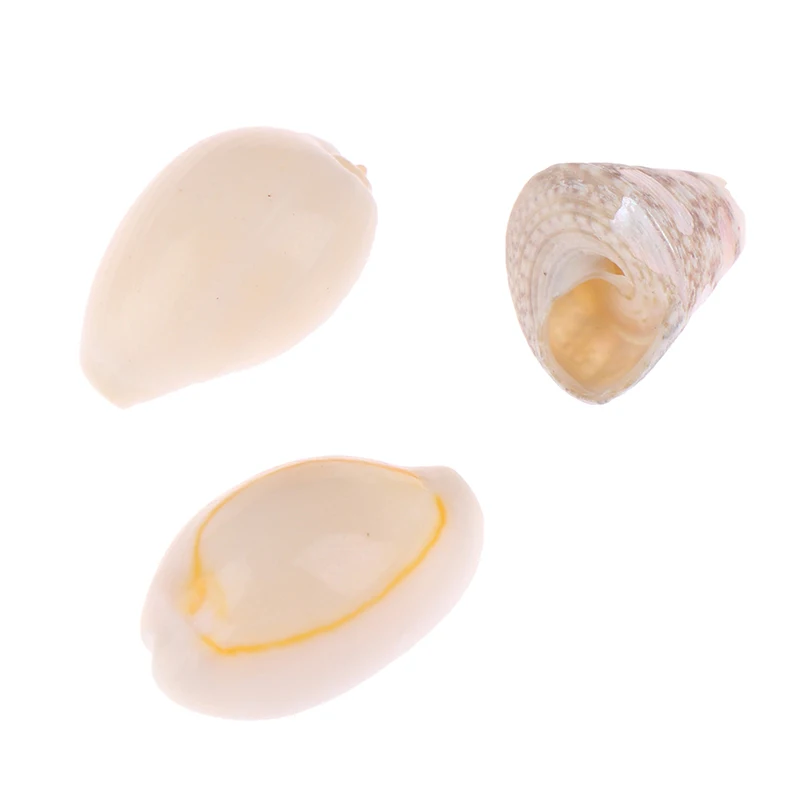 50 шт./пакет Natural Sea Shell свободные шарики принадлежности для декора аквариума ремесло