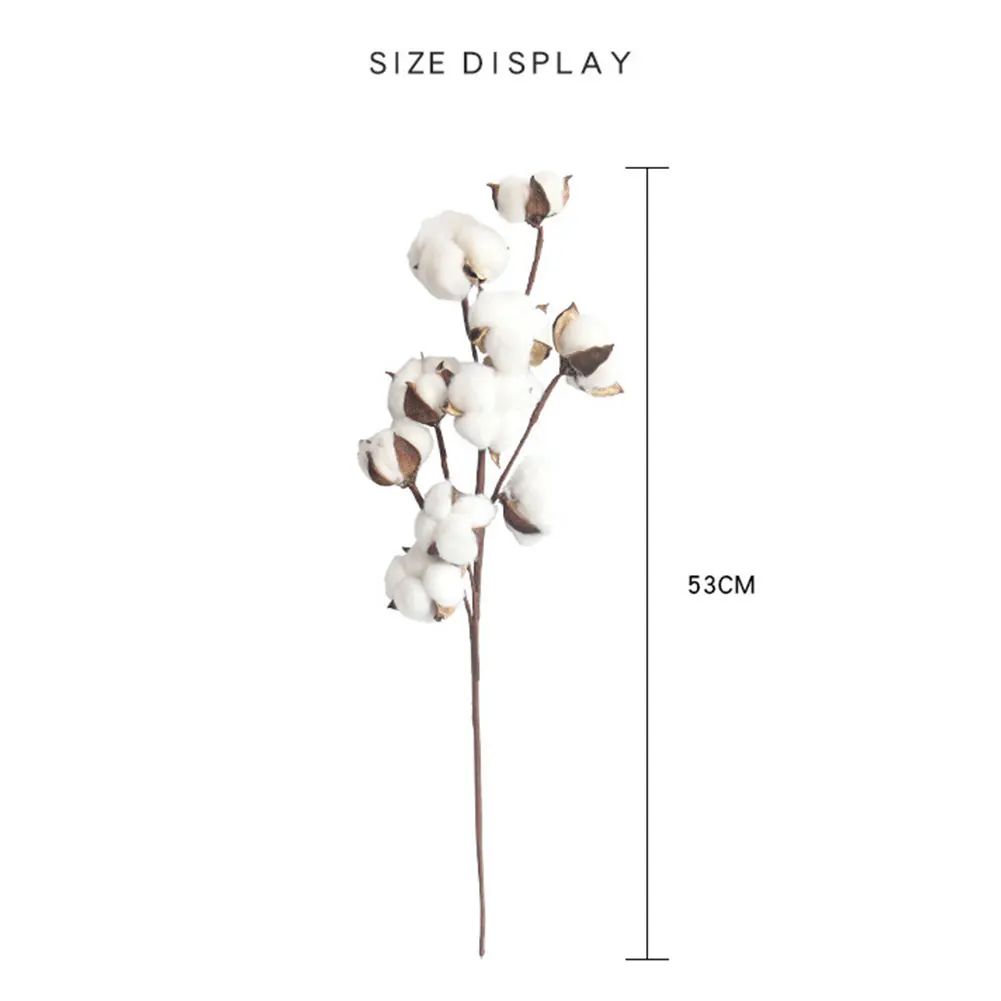 1 шт сухой цветок сушеные хлопок DIY естественно происходит дома декоративные сушеные белая хлопковая филиал искусственный цветок голова 10 шт./компл
