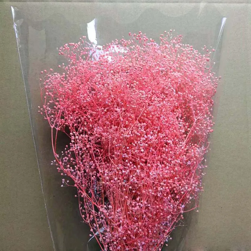 Вечный цветок, рождественский подарок, Подарочная коробка вечного цветка, соответствующий материал, мини-звезда, сушеный цветок, искусственный сушеный цветок - Цвет: Розово-красный
