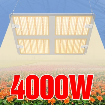 

Phyto Grow Light LED Full Spectrum Indoor Fitolampy Lamp 220V Kweektentgrow Tent 1000W 2000W 4000W LED Hydroponics Plant Flower