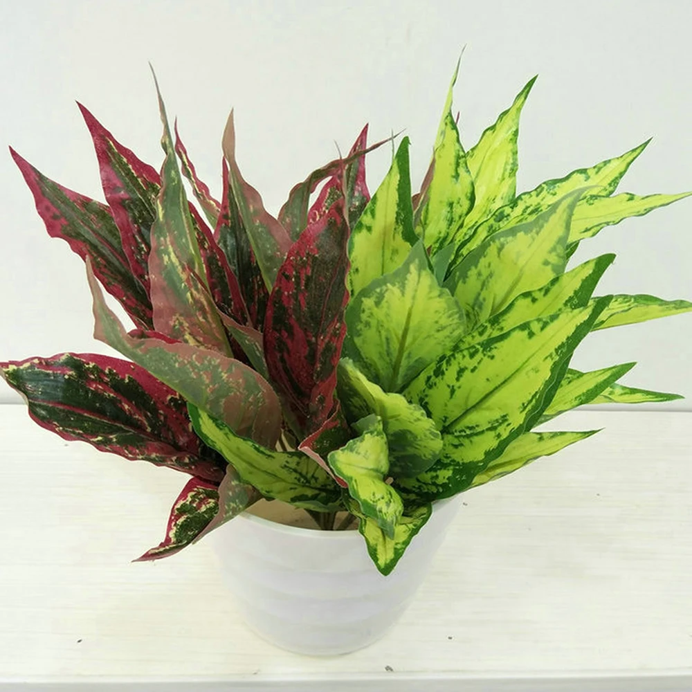 YYPA0080-1-YYPA0080-3-C2