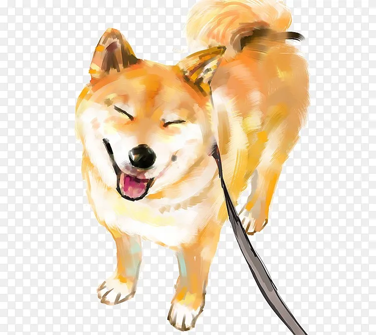 黄色的柴田犬png图片素材免费下载 图片编号qglxmvrd Pngbag素材网