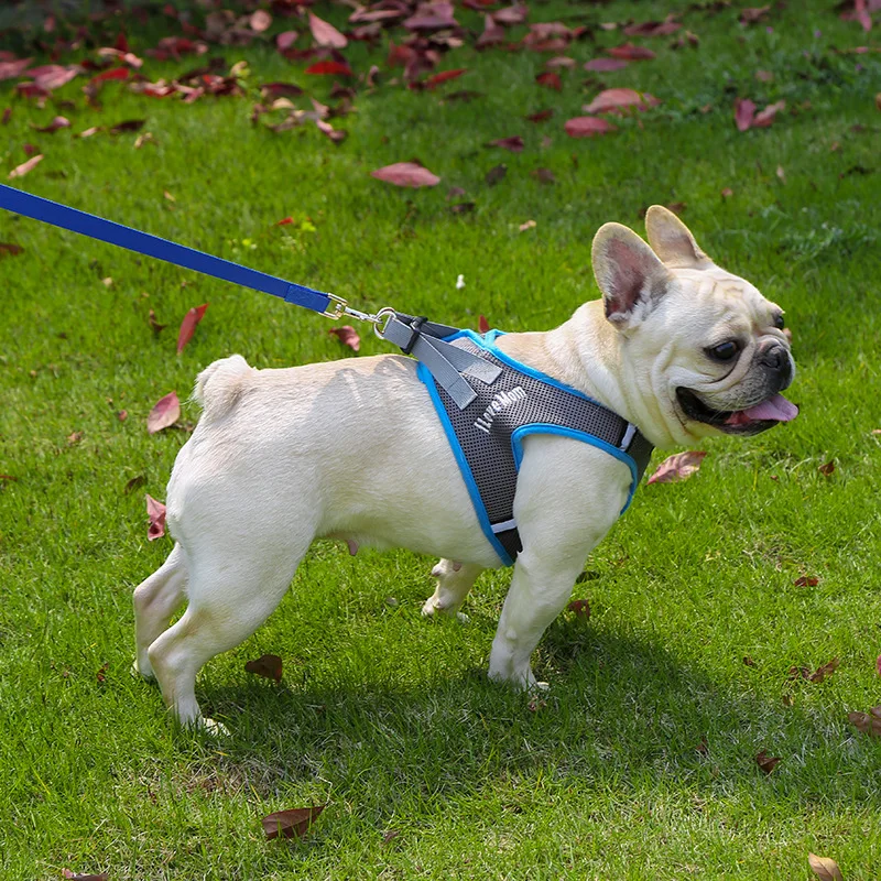 15243436871_1490864554