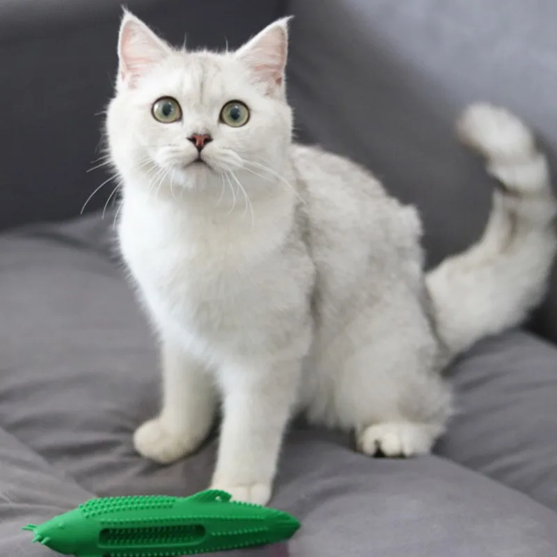 Игрушки для домашних животных, кошек, кошек, резиновая жевательная игрушка для чистки зубов, молярная палочка для кошек, зубная щетка в форме рыбы, игрушки для домашних питомцев, котенок
